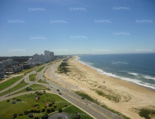 Apartamento En Brava, 3 Dormitorios *-ref:24994