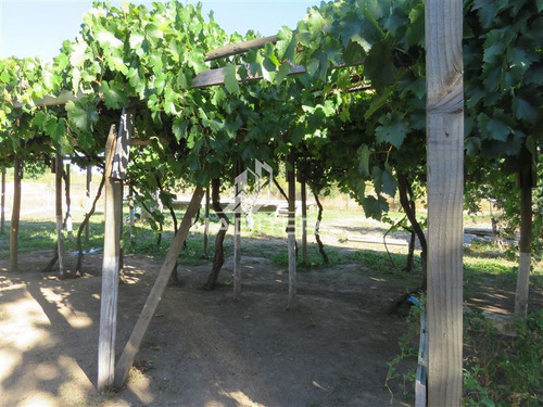 Imagen 13 de 24 de Agrícola En Venta En Maule