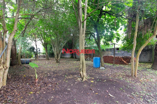 Imagem 12 de 17 de Terreno Para Venda - 11961.001