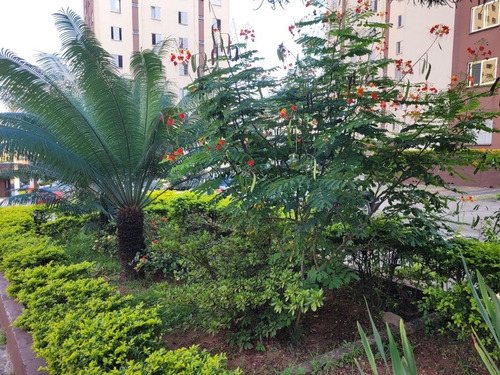 Imagem 15 de 15 de Apartamento 2 Dormitórios, 1 Vaga - Freguesia Do Ó/ Tiro Ao Pombo