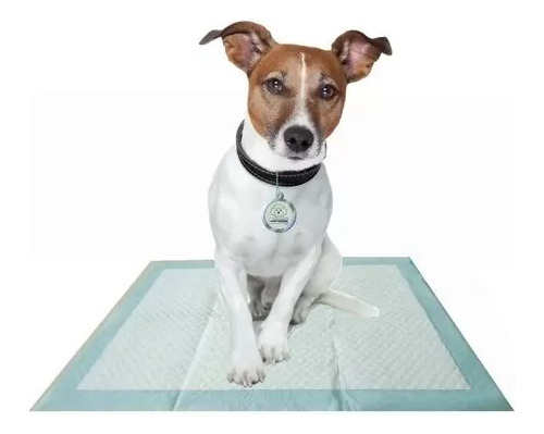 Alfombra Sanitaria Paños Para Perros Puppy Pads 60x60cm X 7u