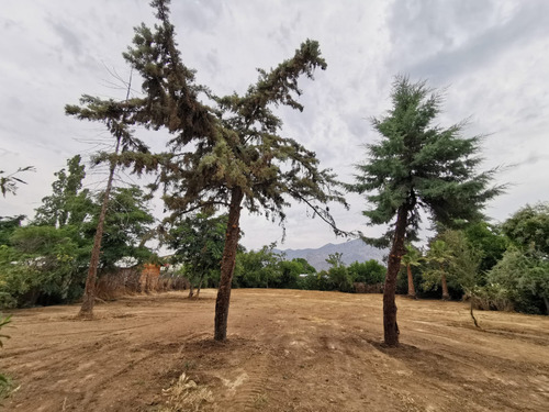 Parcela Con Cabaña En Pirque El Principal