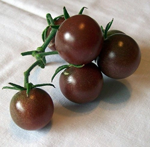 Tomate Negro Cereza 25 Semillas - Dulce Y Jugosa