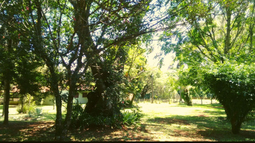 Imagem 12 de 13 de Chácara Com 3 Dormitórios - Ch0034
