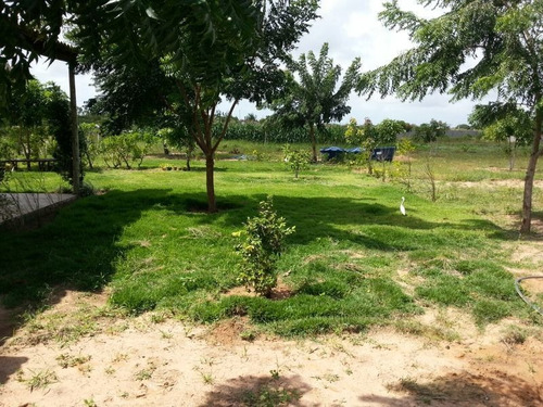 Imagem 3 de 8 de Terreno 10.000m Com Casa Em São Jose De Mipibú