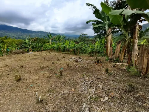 Se Vende Finca Quebradanegra Calarcá Quindío