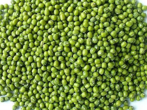 Imagen 1 de 3 de Porotos Mung / Moon X 1 Kg - Calidad Superior