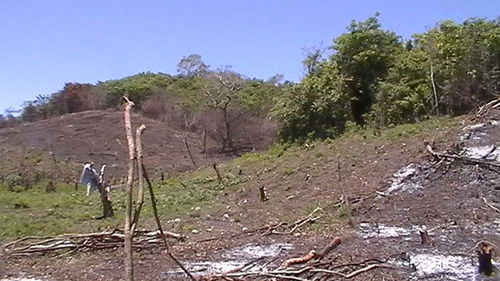 Vendo Rancho 20 Has Libramiento Adolfo López Mateos Tuxpan Veracruz