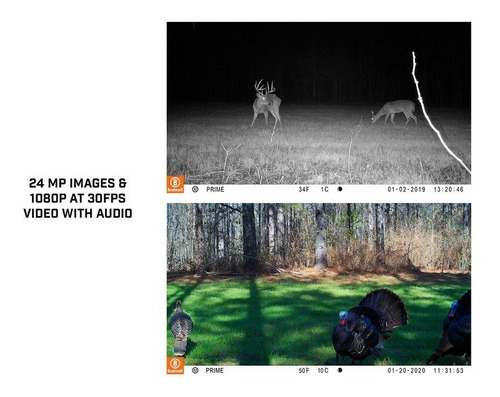 Imagen 5 de 7 de Camara Trampa Trail Camera Prime Bushnell Combo 24mp