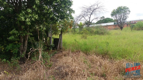 Imagem 14 de 20 de Chácaras_sítios_fazendas Para Venda - 13650.3925