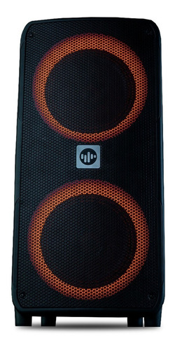 Imagen 3 de 6 de Parlante 10 Pulgadas Potenciado Portatil Stromberg Rad