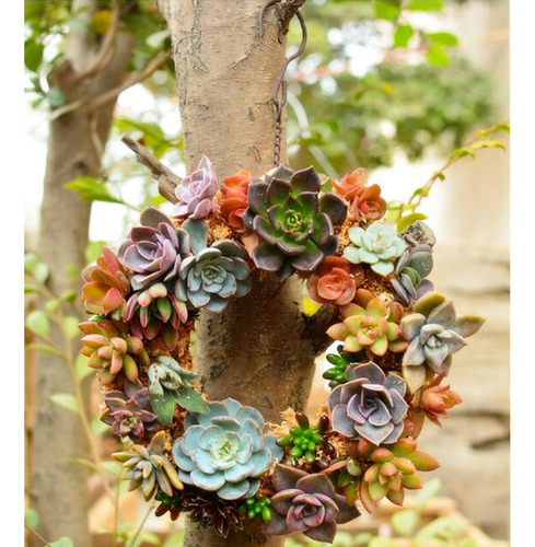 Titular De Metal Maceta De Plantas Accesorio Cumpleaños De