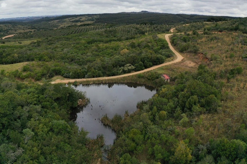 Imagen 15 de 30 de Campo Ovicola En Garzon - 212 Hectareas