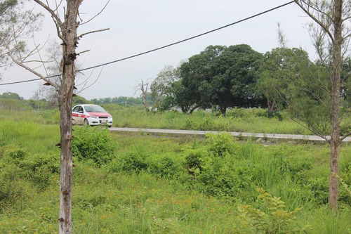 Venta Terreno Tuxpan Ver, Carretera Tuxpan-tamiahua 5 Has