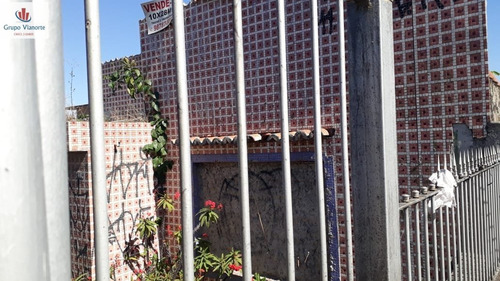 Imagem 7 de 7 de Terreno A Venda No Bairro Vila Nova Cachoeirinha Em São - P0117-1