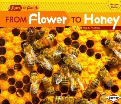 Libro From Flower To Honey - Robin Nelson