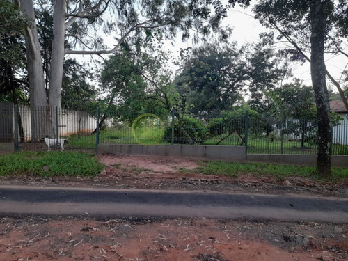 Imagem 3 de 4 de Ótimo Terreno No Quinta Da Bela Olinda - Te305602