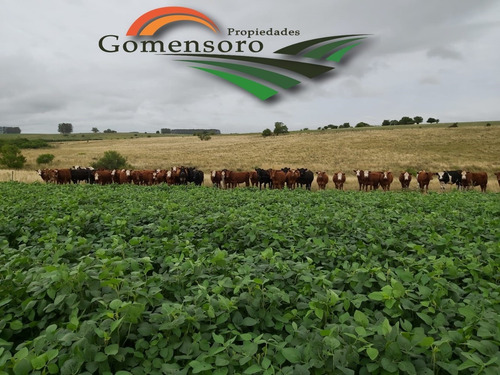 Excelente Campo Agricola Ganadero En San Jose
