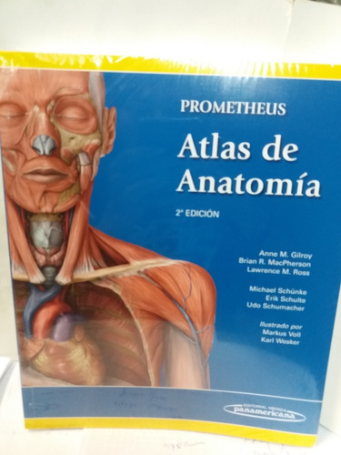 Atlas De Anatomia 2 Edicion - Anne M. Gilroy Y Otros