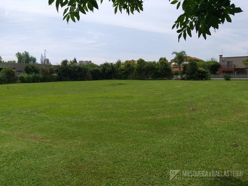Imagen 1 de 4 de Terreno - San Isidro Labrador