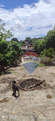 Imagem 12 de 17 de Granja Com Galpão E 6 Casas À Venda Em Felipe Camarão - Natal/rn - Ch0009