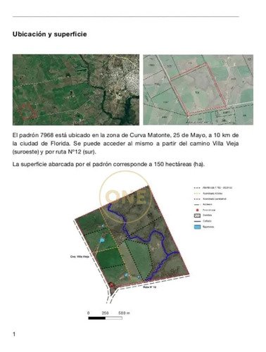 Venta De Campo De 150 Hectáreas En Curva Matonte Florida