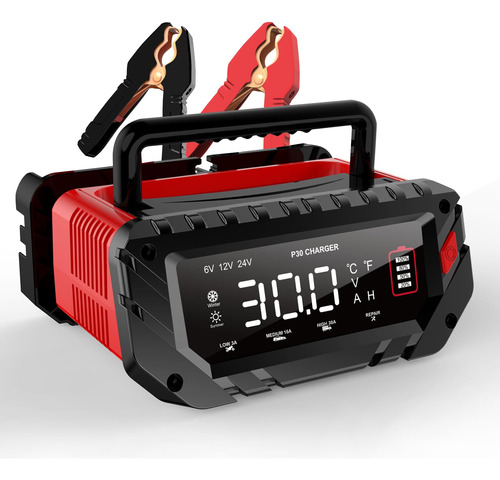 Cargador De Bateria De Litio De 30 Amperios, 6v/12v/24v Life