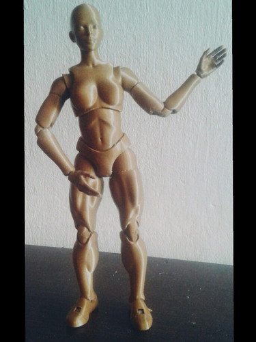 Imagen 4 de 9 de Muñeco Maniqui Femenino Articulado Body Chan 24 Cm Dibujo 3d