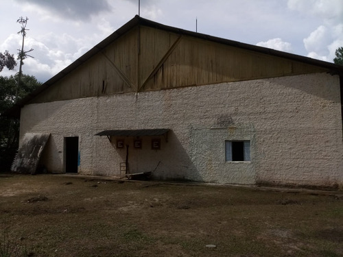 Alugo Galpão Com Ótima Localização!!!
