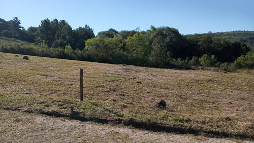 Terreno À Venda, 280 M² Por R$ 150.000,00 - Vila Nova - Porto Alegre/rs - Te0721