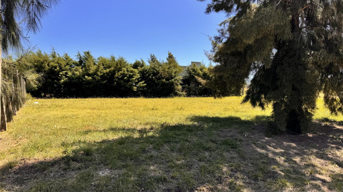 Terreno En Termas Concepción Del Uruguay