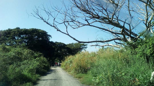 Imagen 5 de 5 de Terreno En Av. Aragua Dr Montoya En Maracay
