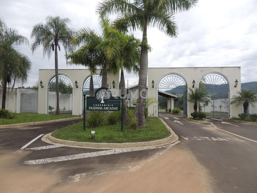 Terreno À Venda Em Parque Modelo - Te008423