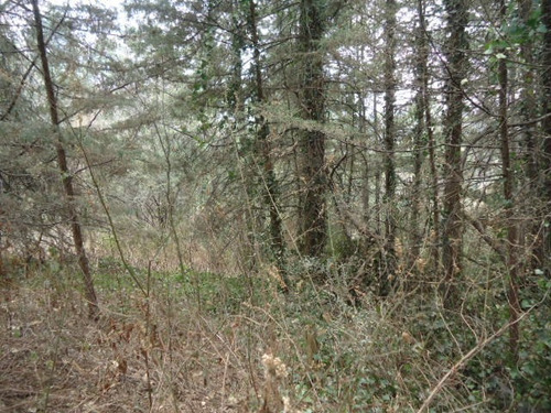 Imagen 1 de 6 de Terreno En Venta En Loma Tlalmimilolpa