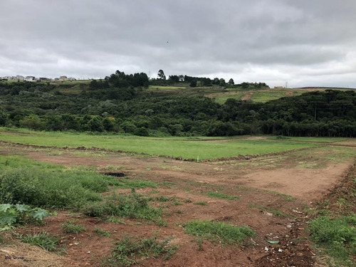Imagem 13 de 15 de Terreno Para Venda Em Ponta Grossa, Neves - L-eco31_1-859684