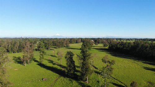 Parcelas A 13 Minutos Del Lago Ranco, En Puerto Nuevo