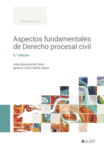 Aspectos Fundamentales De Derecho Procesal Civil (5.ª Edició
