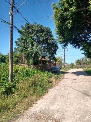 Imagem 2 de 9 de Terreno Perto Da Pista Medindo 250m² Em Itanhaém Litoral Sul