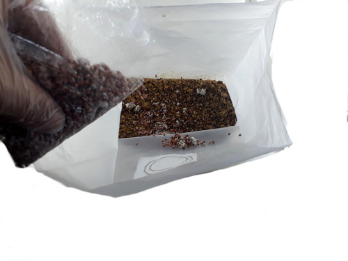Cogumelo Hiratake Kit Completo P/ Fazer Em Casa 100% Natural