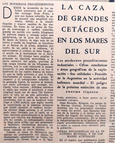 1933 Industria Ballenera Argentina Caza Cetaceos Mares Sur