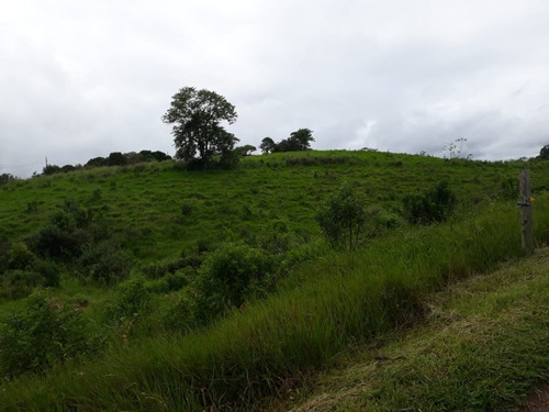 Fazenda - Fa00002 - 34684872