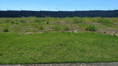 Imagem 3 de 5 de Terreno Totalmente Plano - Condomínio Colinas Do Paratehy Norte - 600m² - Te1888