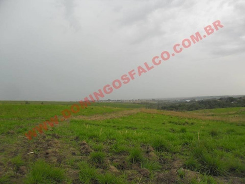 Imagem 13 de 14 de Venda - Área - Zona Rural - Nova Odessa - Sp - D7830