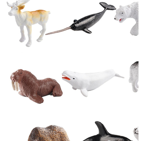 12x Juego De Desarrollo De Juguetes De Animales Árticos