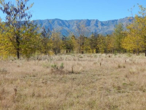 Imagen 14 de 18 de T021 No Amplia Fracción De 15.000 M2 C/escritura Con Acceso De Asfalto En Nono