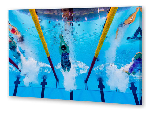 Cuadro 60x90cm Natacion Deporte Acuatico Pileta Piscina M1