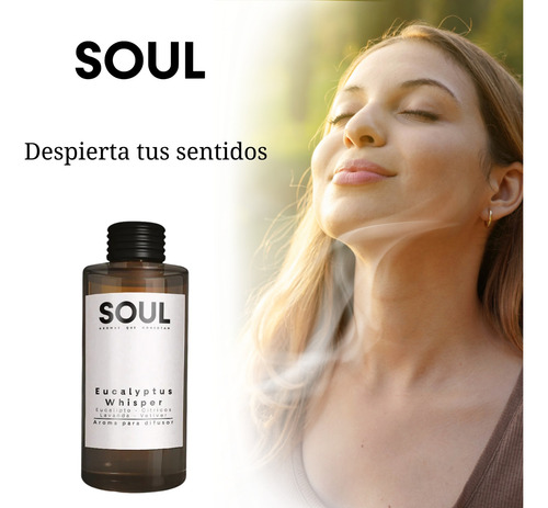 Eucalyptus Mist Esencia Aroma Profesional Difusores 100ml