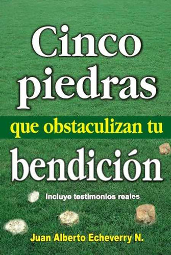 Libro Cinco Piedras Que Obstaculizan Tu Bendición