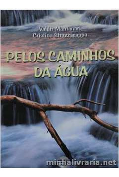 Livro Pelos Caminhos Da Água - Col. Desafios - Cristina Strazzacappa; Valdir Montanari [2002]