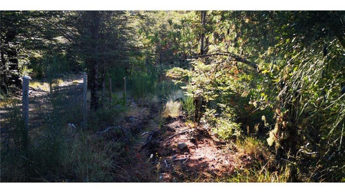 Pucon Parcela En Sector Cerduo - Oportunidad